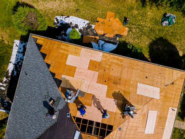 Roof Gutter Cleaning in Fairland, OK